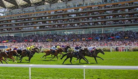 william hill grand national odds|Grand National Tips, Predictions & News .